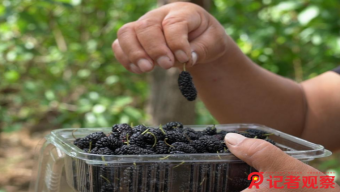 最高分辨率,！我國(guó)成功發(fā)射高分多模衛(wèi)星