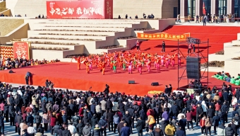世界海洋日：立法保護紅樹林 修復(fù)典型海洋生態(tài)系統(tǒng)
