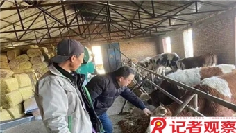 機(jī)動(dòng)車排污違法信息擬納入征信