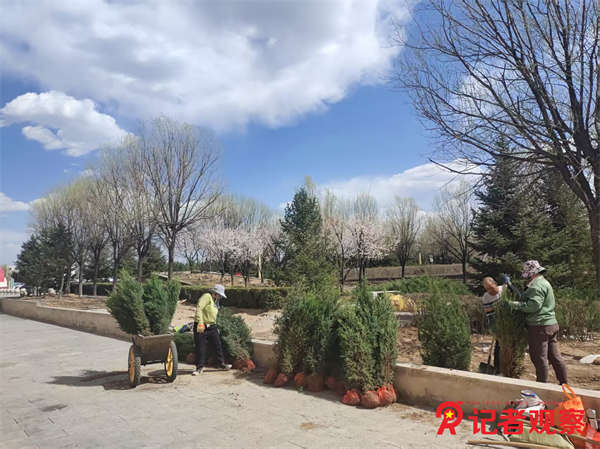 同發(fā)東周窯煤業(yè)公司：樹環(huán)保理念 植愛企情懷 建綠色礦山 (3)